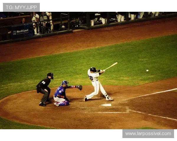 尊龙新版人生就是博,探索人生每一步的无限可能 尊龙新版人生就是博,探索人生每一步的无限可能