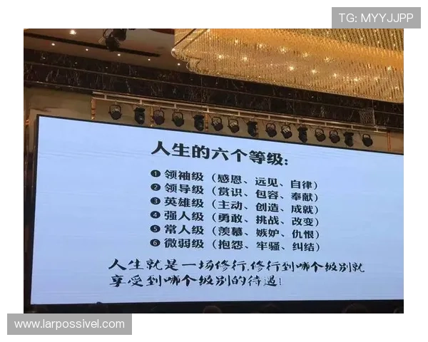 Z6人生就是博：用心经营每一次选择，开启人生新篇章