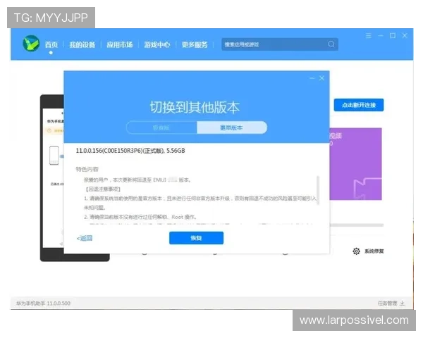 凯发网投会员登录失败的原因分析与解决方案详解